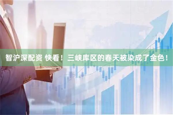 智沪深配资 快看！三峡库区的春天被染成了金色！