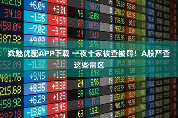 数魅优配APP下载 一夜十家被查被罚！A股严查这些雷区