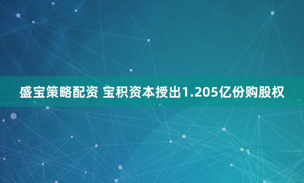 盛宝策略配资 宝积资本授出1.205亿份购股权