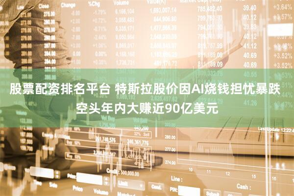 股票配资排名平台 特斯拉股价因AI烧钱担忧暴跌 空头年内大赚近90亿美元